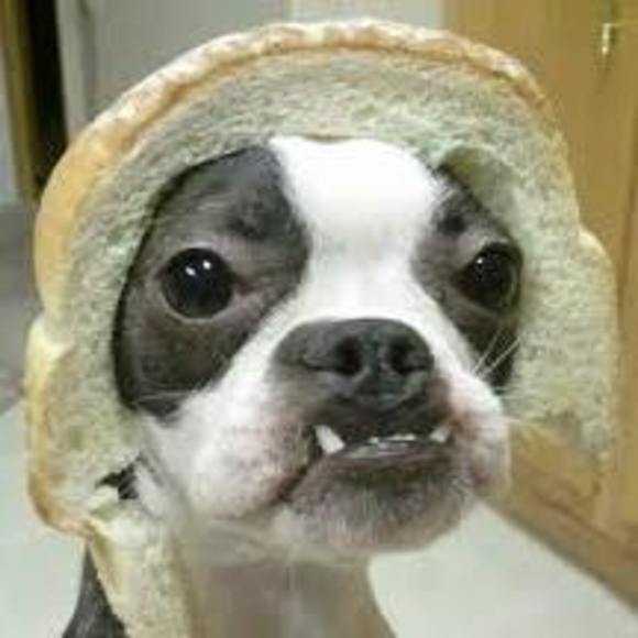 Meet your Posher, Diane - Picture 1 of 1